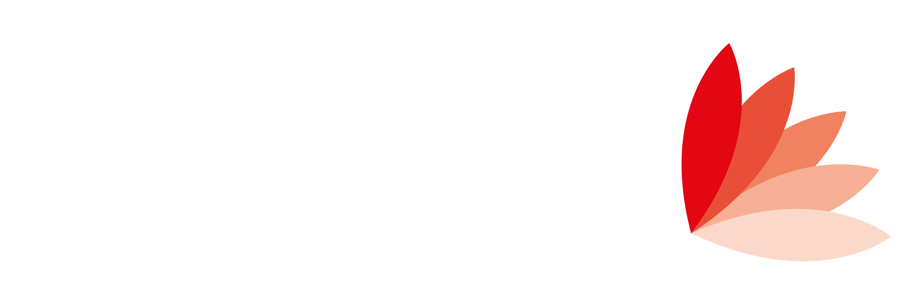 Elektra ve Elektra Web PMS hotspot entegrasyonu — IDNet 5651 loglama