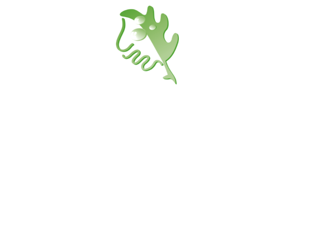Green Garden Hotels — IDNet hotspot otomasyonu referans oteli